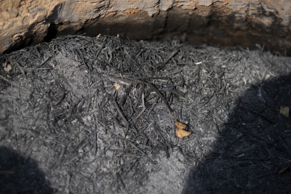 A natural background texture of ash in a fireplace