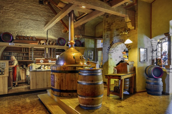Interior with brewing kettle, brewery inn, Irseer Klosterbräu, Irsee, Bavaria, Germany, Europe