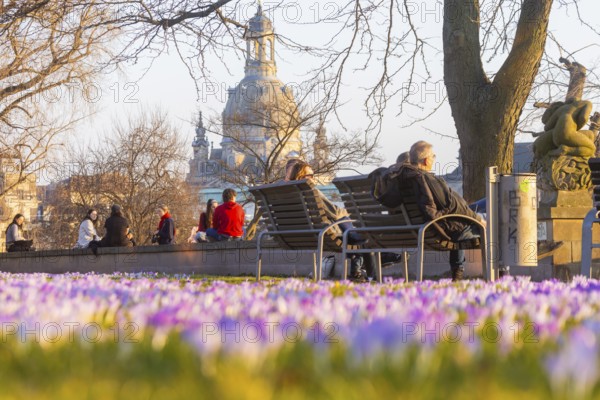 Sunbathers on the crocus meadows at the Hotel Belevue on the banks of the Elbe in Neustadt. View of the Church of Our Lady, Dresden, Saxony, Germany, Europe