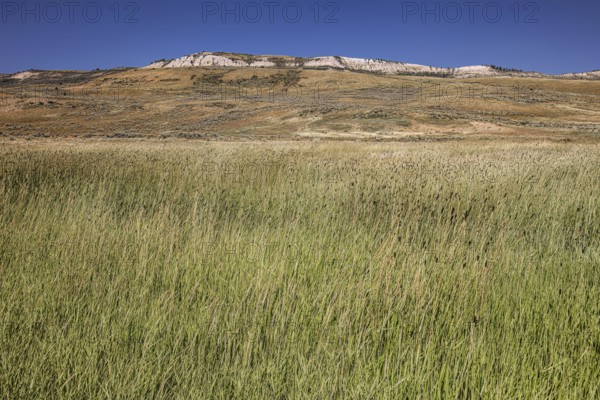 Fossil Butte National Monument, Wyoming, USA, North America