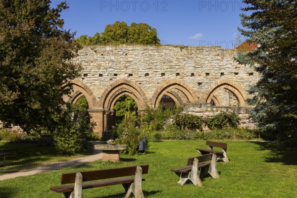 Memleben Monastery and presumed imperial palace, Memleben, Saxony-Anhalt, Germany, Europe