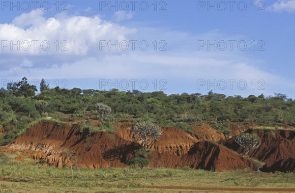 LANDSCAPE SHOWING EROSION, TANZANIA