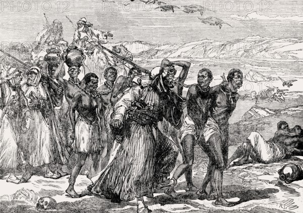 Slaves traversing the African desert, 19th century, From British Battles on Land and Sea, by James Grant