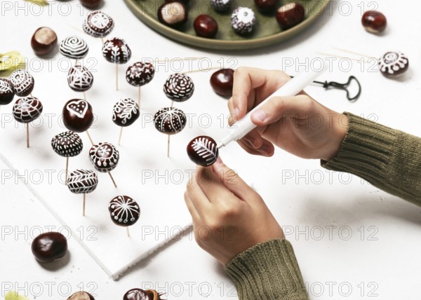 Chestnuts painted with white acrylic pen. Creative autumn decoration with natural material. Handicrafts, handicrafts with children