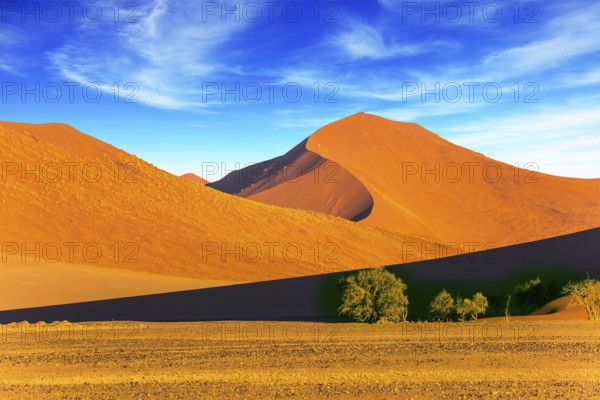Sunset in the desert. Orange, red and yellow dunes of the Namib desert. The concept of extreme and exotic tourism. Namibia, South Africa, Africa