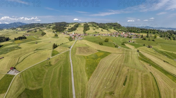Aerial view over fields and meadows to village Vorderburg, agricultural area in spring, Allgäu, Bavaria, Germany, Europe