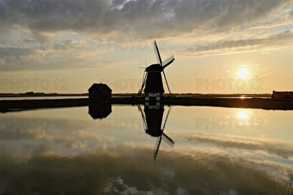 Historic windmill in the light of the setting sun, De Traanroeier, Het Noorden Molen, Texel, North Holland, Netherlands
