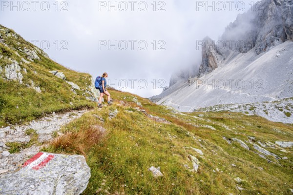 Hiker on the ascent to the Great Kinigat, Carnic Main Ridge, Carnic High Trail, Carnic Alps, Carinthia, Austria, Europe