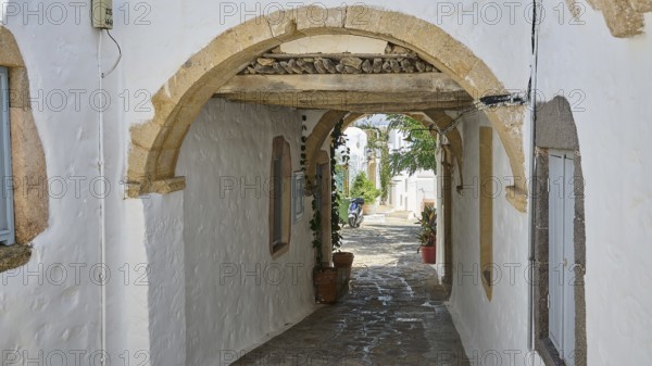 A shady passageway through a stone archway, flanked by white buildings and plants, Chora, Old Town, Patmos, Dodecanese, Greek Islands, Greece, Europe
