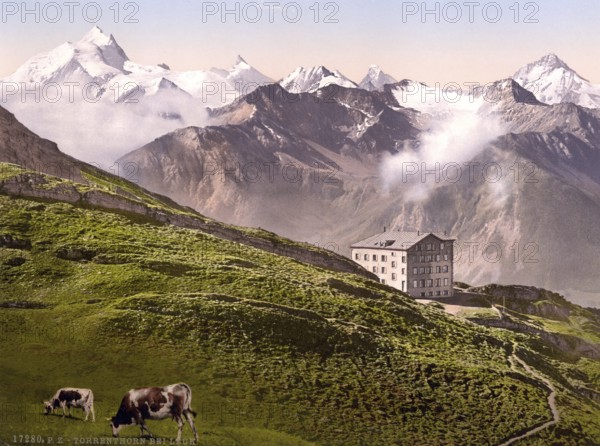 Torrenthorn is a 2998 m high peak in the western Bernese Alps above Leukerbad in Valais in Switzerland / Leukerbad, Torrenthorn, Valais, Alps of, Switzerland, Historic, digitally restored reproduction from a 19th century original, Record date not stated, Europe