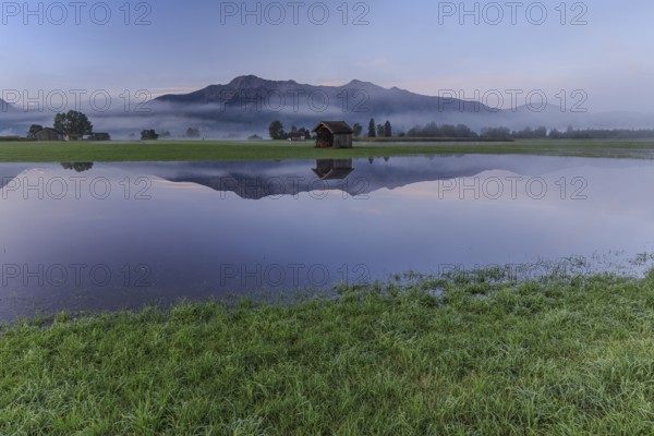 Mountains reflected in pond, morning mood, flooding, high water, Loisach-Lake Kochel-Moor, Bavaria, Germany, Europe