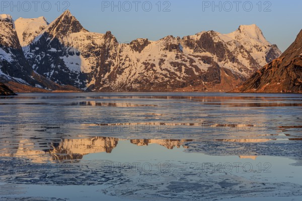 Fjord with ice floes in front of steep mountains, reflection, morning light, KjerkfjordeWinter, Reine, Moskenesoya, Lofoten, Norway, Europe