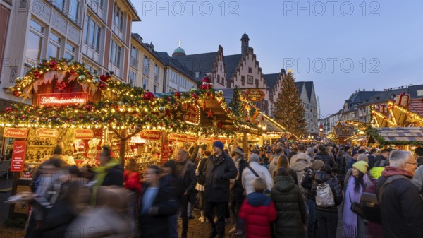 Thousands of people parade through the Römerberg Christmas market in Frankfurt am Main in the evening. Frankfurt am Main, Römerberg, Hesse, Germany, Europe