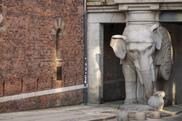 Monumental stone elephant, elephant gate or elephant portal or Elefantporten, by architect Vilhelm Dahlerup, Carlsberg district, Copenhagen, Denmark, Europe