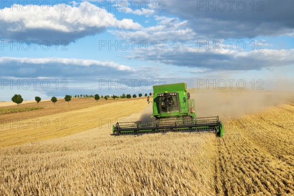 Combine harvester harvesting wheat, endless cornfield, blue sky with cumulus clouds, Saalekreis, Saxony-Anhalt, Germany, Europe