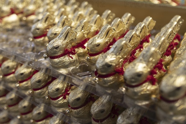 Gold bunnies from chocolate manufacturer Lindt in a supermarket, Berlin, 27/02/2024