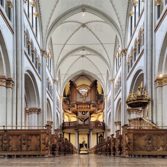 Interior view of Bonn Minster, nave with pulpit and Klais organ in the west apse, Bonn, North Rhine-Westphalia, Germany, Europe