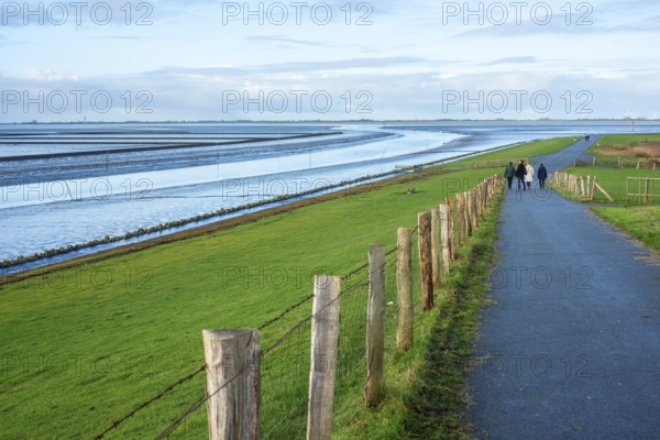 The North Sea coast off Husum, Schleswig-Holstein, Germany, Europe