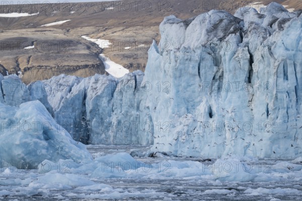 Edge of Negribreen, Stjorfjord, Spitsbergen Island, Svalbard and Jan Mayen archipelago, Norway, Europe