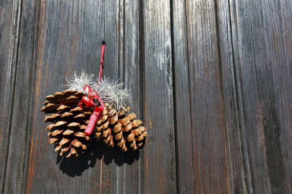 Pine cones, pine cones, minimalist Christmas decoration on a wooden door, narrow door, Haria, Lanzarote, Canary Islands, Spain, Europe