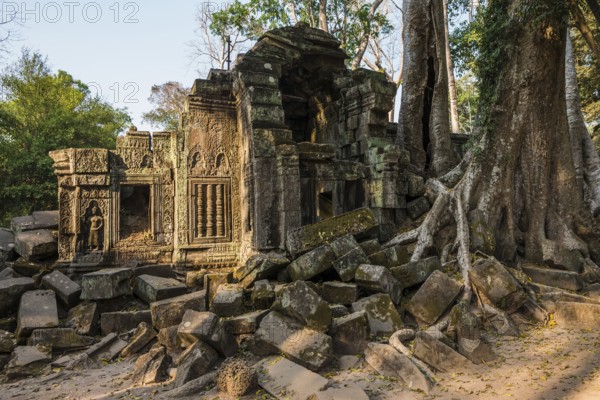 Ta Prohm, Angkor Wat, Angkor, UNESCO World Heritage Site, Siem Reap, Cambodia, Indochina, Southeast Asia, Asia