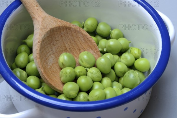 Fresh green peas in pot with wooden spoon, Pisum sativum