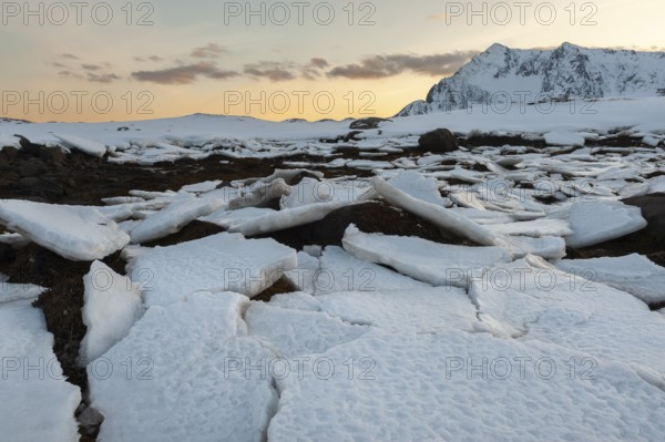 Ice floes, Lofoten island Vestvågøya at the fjord Gimsøystraumen, Lofoten, Northern Norway, Norway, Europe