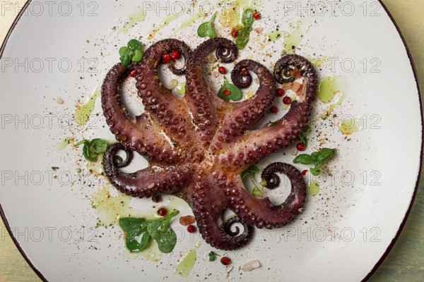 Boiled octopus, close-up, rustic style, no people, top view, close-up