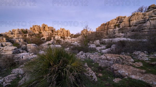 Bizarre limestone rock formations, El Torcal nature reserve, Torcal de Antequera, Malaga province, Andalusia, Spain, Europe