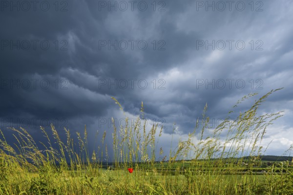 Thunderstorm cell over fields near Krebs in the Osterzgebirge, Krebs, Saxony, Germany, Europe