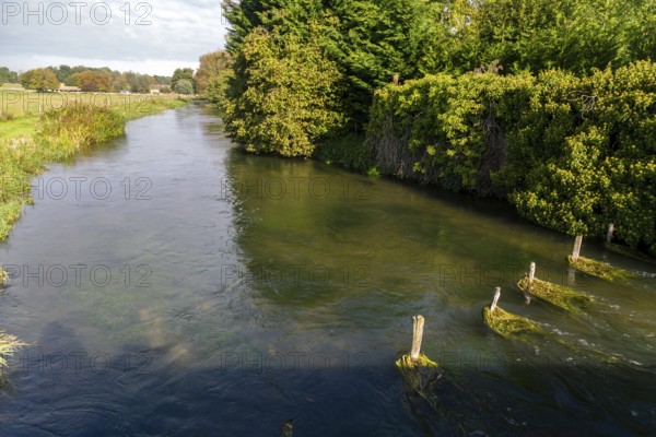River Coln, village of Fairford, Cotswolds Gloucestershire, England, UK
