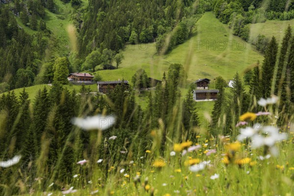 Mountain farming village, Gerstruben, Dietersbachtal, near Oberstdorf, Allgäu Alps, Allgäu, Bavaria, Germany, Europe