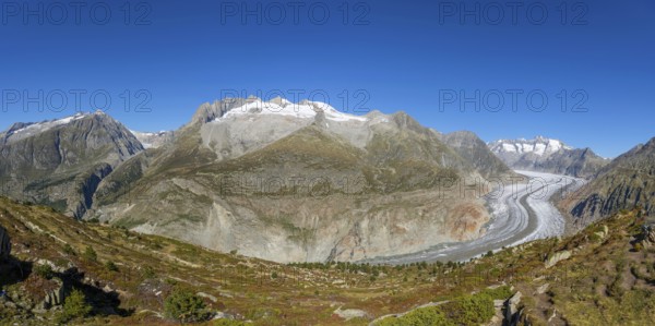 Aletsch glacier, glacier tongue, panorama, climate change, decline, global warming, ice, global climate, tourism, Aletsch Arena, Valais, Switzerland, Europe