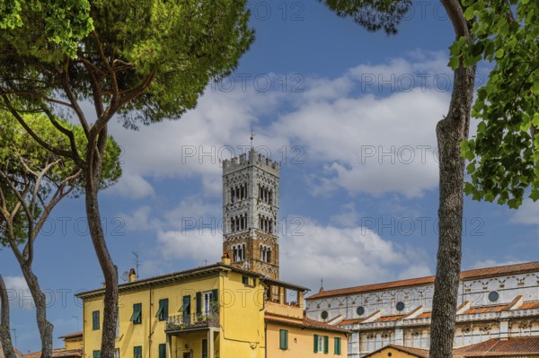 Tower of San Martino Cathedral, historic city centre, Lucca, Tuscany, Italy, Europe