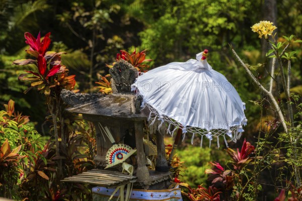 Balinese umbrella, temple, decoration, Jatiluwih, rice terrace, agriculture, farming, Hinduism, tourism, travel, landscape, Bali, Indonesia, Asia