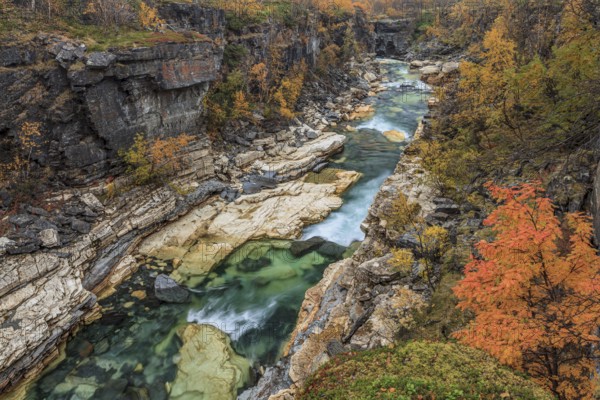 Gorge, canyon, river, rapids, autumn, autumn colours, Abisko Canyon, Abisko National Park, Laponia, Lapland, Sweden, Europe