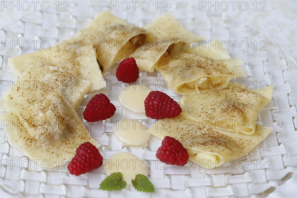 Swabian cuisine, apple ravioli, apple in pasta dough, sweet dish, dessert, vanilla sauce, cinnamon, raspberries, arranged on a plate, grandmother's kitchen, regional, home cooking, typical Swabian, classic recipe, traditional cuisine, food photography, studio, Germany, Europe