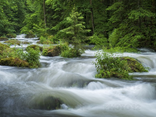 White water and rapids on the Trieb stream in the Triebtal nature reserve in Vogtland, Plauen, Saxony, Germany, Europe