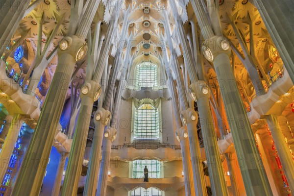 Interior of the Familia Sagrada, religion, Christianity, by the architect Antonio Gaudi in Barcelona, Spain, Europe