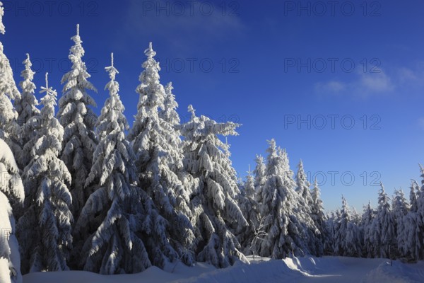 Winter landscape in the Fichtelgebirge, Bayreuth district, Upper Franconia, Bavaria, Germany, Europe