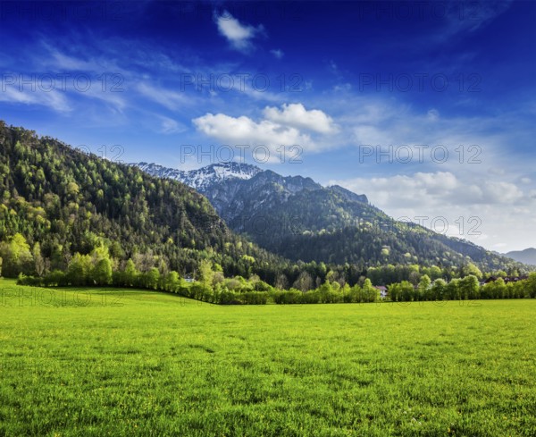 Alpine meadow in Bavarian Alps. Bavaria, Germany, Europe