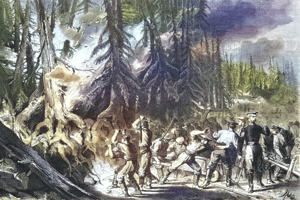 Forest Fire, Fire of a Fir Forest near St. Petersburg, 1869, Russia, Historic, digitally restored reproduction of an original 19th century painting, exact original date not known, Europe