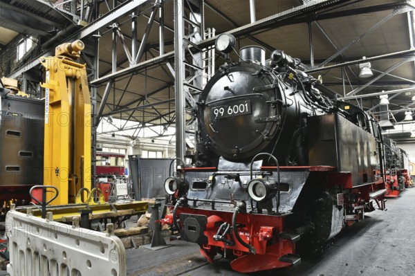 Steam locomotive of the Harz narrow gauge railway for maintenance in the workshop, Wernigerode, Saxony-Anhalt, Germany, Europe