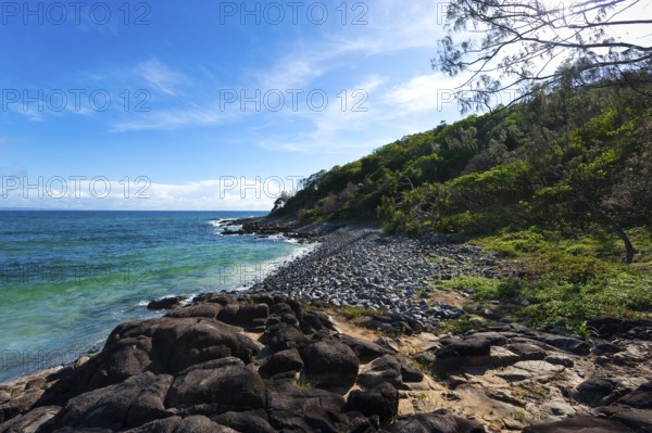 Coastal walk in Noosa heads, holiday, travel, coast, ocean, sea, east coast, Queensland, Australian