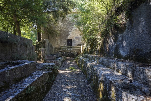 Remains of the medieval monastery of Caluc, Prieuré de Carluc, Cereste, Alpes-de-Haute-Provence department, Provence, France, Europe
