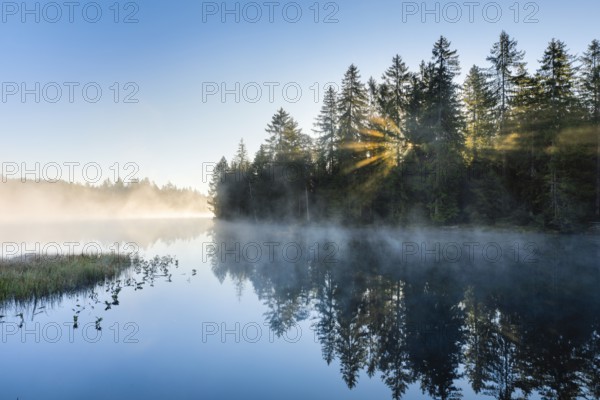 Sunrise over the mirror-smooth mire lake Étang de la Gruère in the canton of Jura, Switzerland, Europe