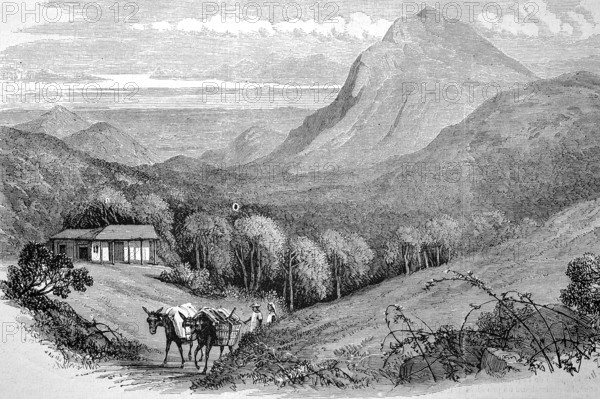 The Bay of Rio de Janeiro as seen from Mont Empereur, 1869, Brazil, Historic, digitally restored reproduction of an original 19th century artwork, exact original date unknown, South America