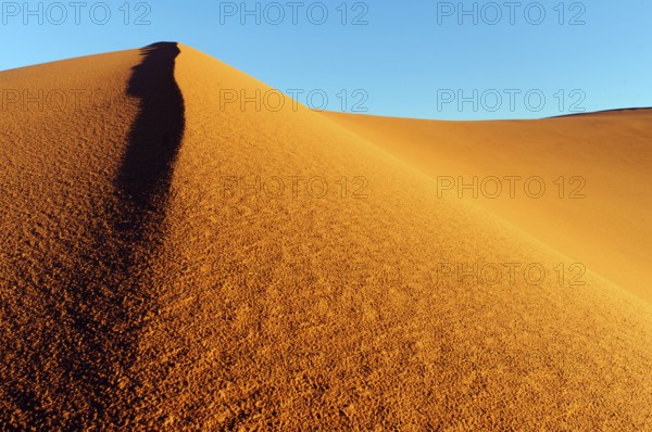 Morocco, Erg Chebbi desert, dunes, Africa