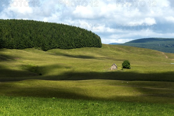 Farm in Cezallier massif, Regional Nature Park of Volcans d'Auvergne, Puy de Dome department, France, Europe