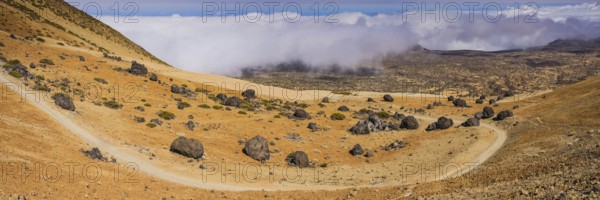 Tenerife National Park, World Heritage Site, Tenerife, Canary Islands, Spain, Europe